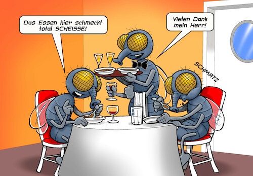 Fliegen Fliegen