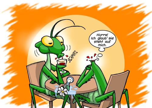 Cartoon: Gottesanbeterin Date (medium) by Joshua Aaron tagged gottesanbeterin,mantis,paarung,kopf,decapitation,weibchen,männchen,insekten,gottesanbeterin,mantis,paarung,kopf,decapitation,weibchen,männchen,insekten