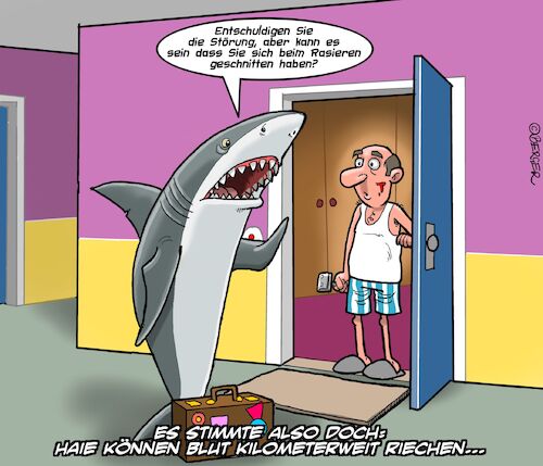 Cartoon: Haiattacke (medium) by Chris Berger tagged hai,blut,shark,riechen,rasieren,cut,hai,blut,shark,riechen,rasieren,cut