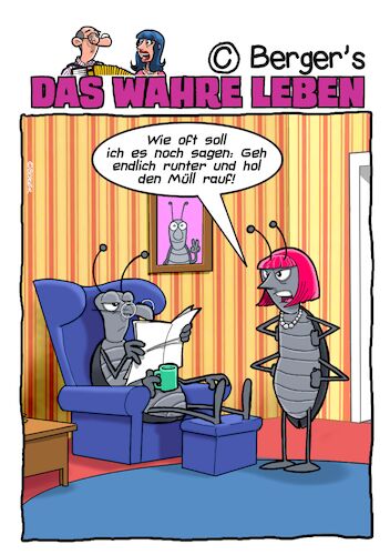 Müll Müll