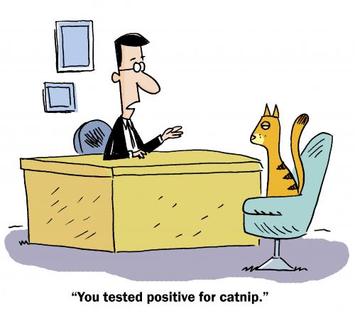 Cartoon: Catnip (medium) by ScottNickel tagged cat,catnip,office,work,drug,test