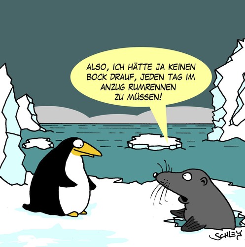 Cartoon: Anzug (medium) by Karsten Schley tagged tiere,natur,eis,arktis,antarktis,wetter,klima,temperaturen,kleidung,mode,tiere,natur,eis,arktis,antarktis,wetter,klima,temperaturen,kleidung,mode