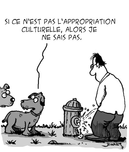 Appropriation Culturelle Appropriation Culturelle