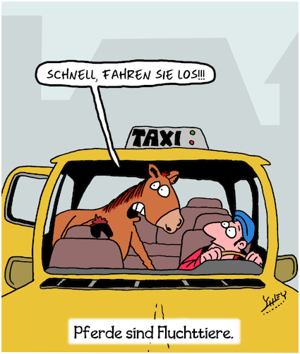 Auf der Flucht Auf der Flucht
