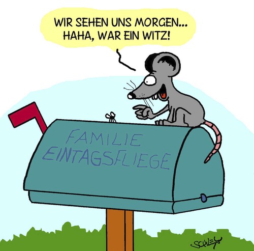 Bis Morgen! Bis Morgen!