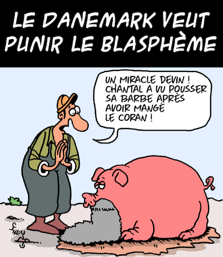 Cartoon: Blaspheme (medium) by Karsten Schley tagged danemark,liberte,de,expression,democratie,justice,religion,medias,politique,danemark,liberte,de,expression,democratie,justice,religion,medias,politique