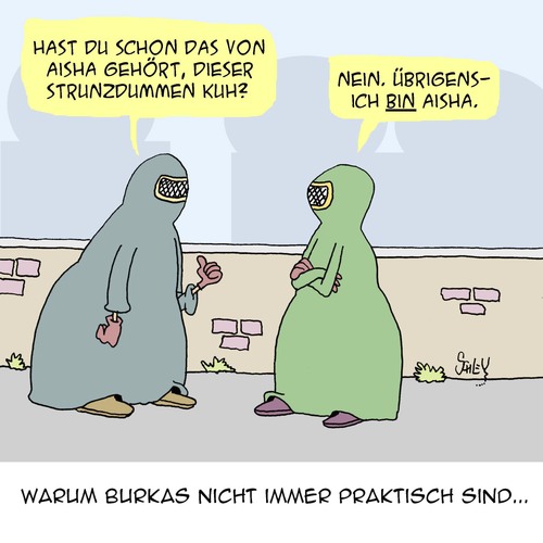 Cartoon: BURKA (medium) by Karsten Schley tagged burkas,religion,mode,frauen,tratschen,kommunikation,islam,burkas,religion,mode,frauen,tratschen,kommunikation,islam