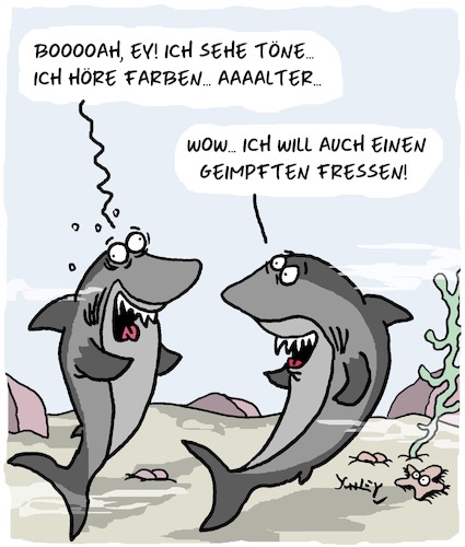 Cartoon: Cartoon mit Haien (medium) by Karsten Schley tagged corona,impfungen,impfverweigerer,gesundheit,politik,gesellschaft,tiere,haie,meere,corona,impfungen,impfverweigerer,gesundheit,politik,gesellschaft,tiere,haie,meere