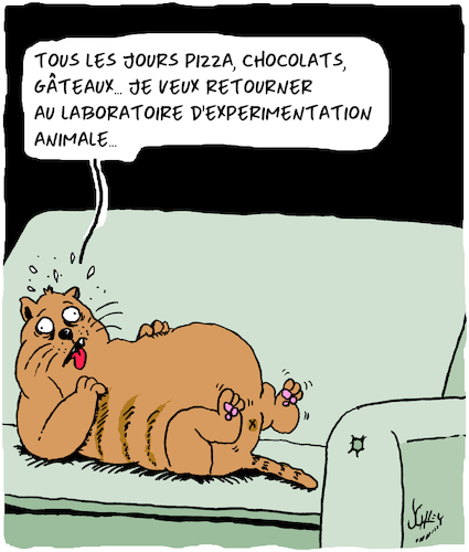 Chat Chat
