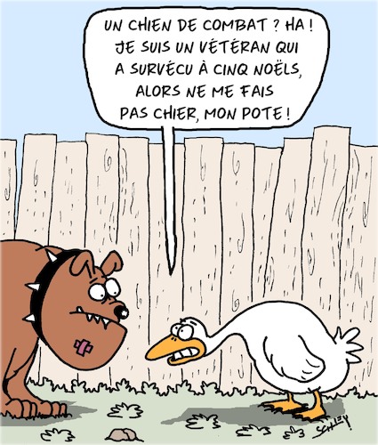 Chien de Combat Chien de Combat