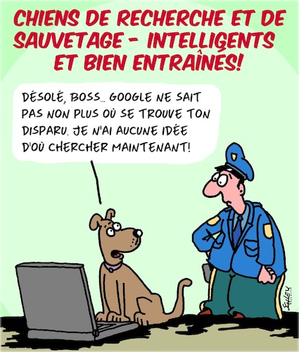 Chiens de Secours Chiens de Secours