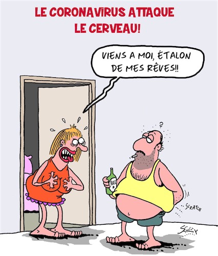 Coronavirus et le cerveau Coronavirus et le cerveau