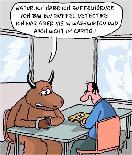 Der Schamane Der Schamane