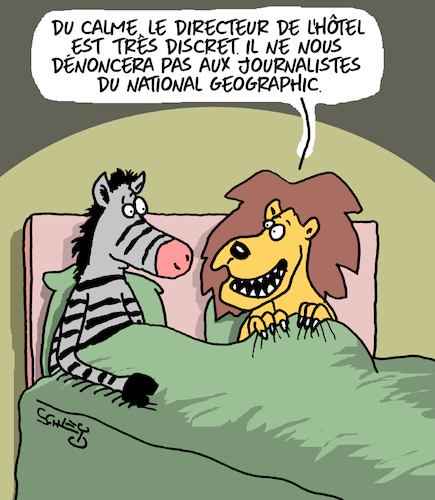 Discretion Discretion