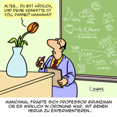 Experimente Experimente