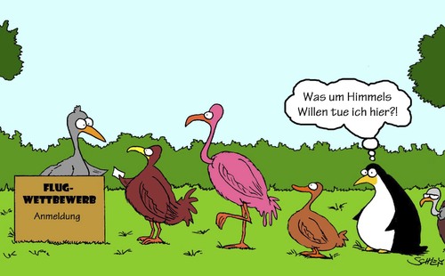 Flug-Wettbewerb Flug-Wettbewerb