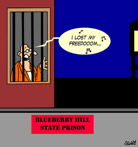 Freedom Freedom