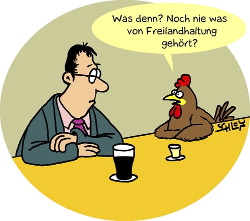 Freilandhaltung Freilandhaltung