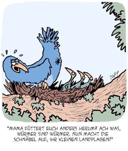 Futterzeit! Futterzeit!