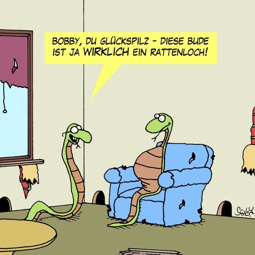 Cartoon: Glückspilz (medium) by Karsten Schley tagged wohnen,apartments,leben,tiere,schlangen,ratten,miete,bauen,immobilien,wohnen,apartments,leben,tiere,schlangen,ratten,miete,bauen,immobilien