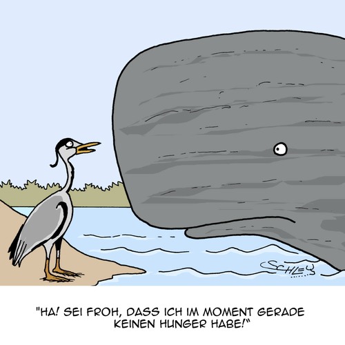 Hast DU ein Glück!! Hast DU ein Glück!!