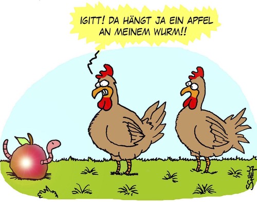 Hühner Hühner