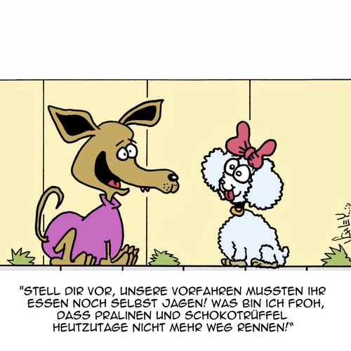 Hunde Hunde