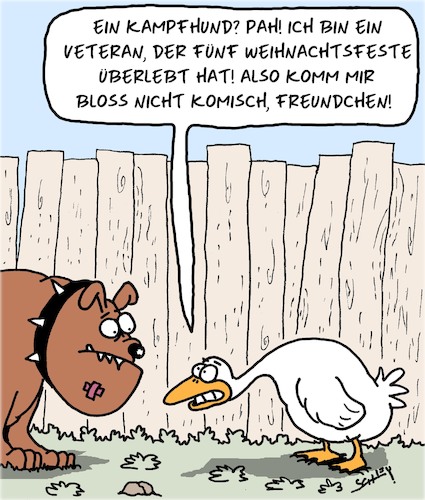 Kampfhund Kampfhund