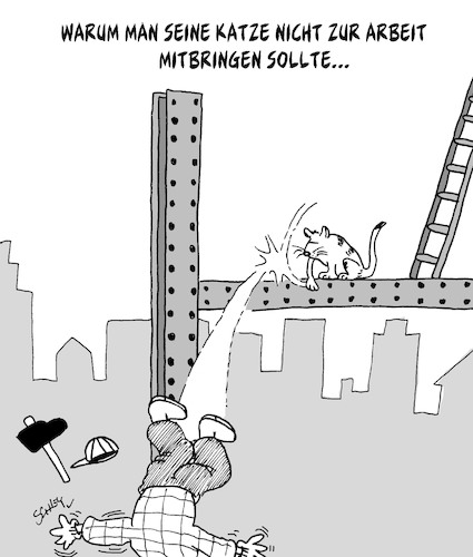 Katze am Arbeitsplatz Katze am Arbeitsplatz
