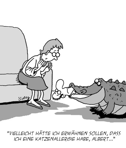 Katzenallergie Katzenallergie