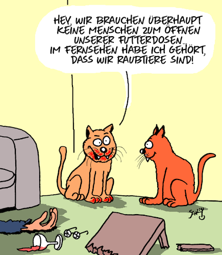 Katzenfutter Katzenfutter