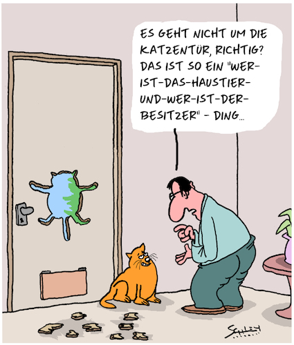 Katzenpsychologie