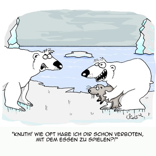 Cartoon: KEIN Spielzeug!!! (medium) by Karsten Schley tagged natur,tiere,eis,eisbären,ernährung,klima,ozeane,umwelt,natur,tiere,eis,eisbären,ernährung,klima,ozeane,umwelt