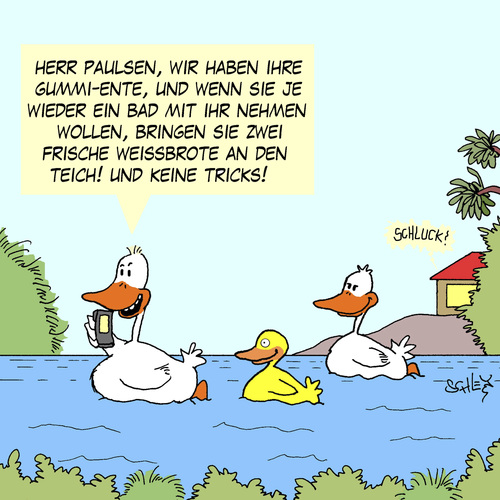 Kriminelle Enten!