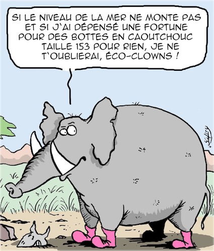 Le Niveau de la Mer Le Niveau de la Mer