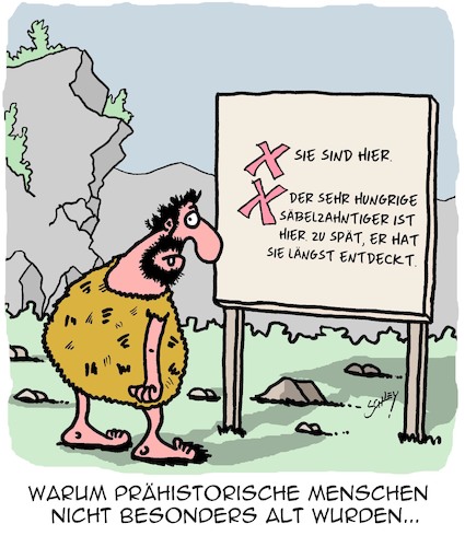 Lebenserwartung Lebenserwartung