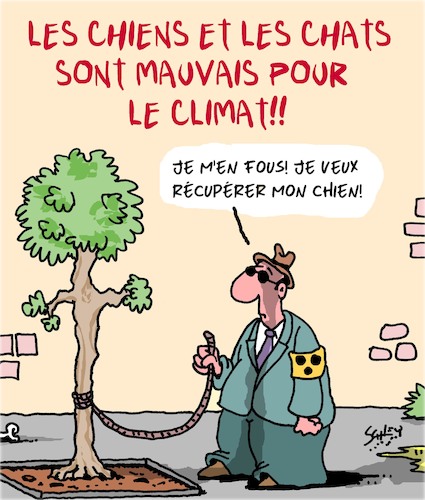 Les Chats et les Chiens