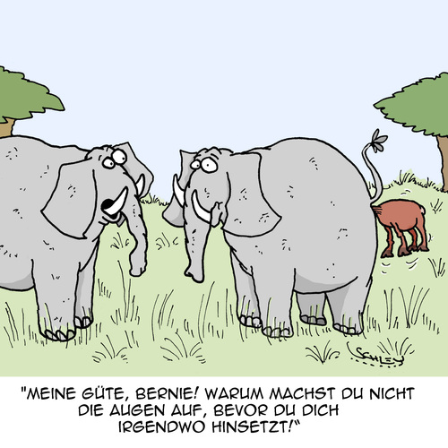 Mach die Augen auf!! Mach die Augen auf!!
