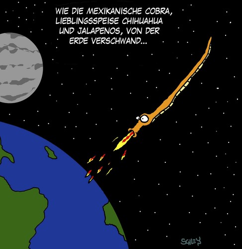 Mexikanische Kobra Mexikanische Kobra