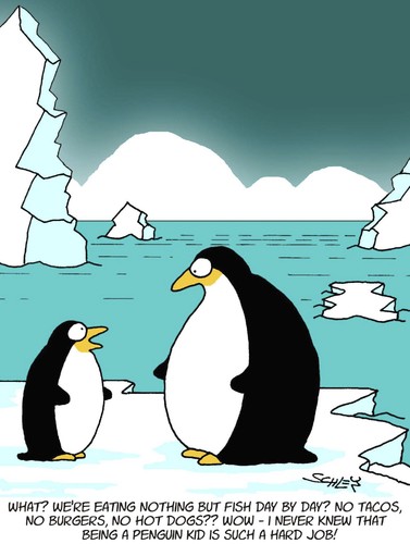 Pinguin Witz