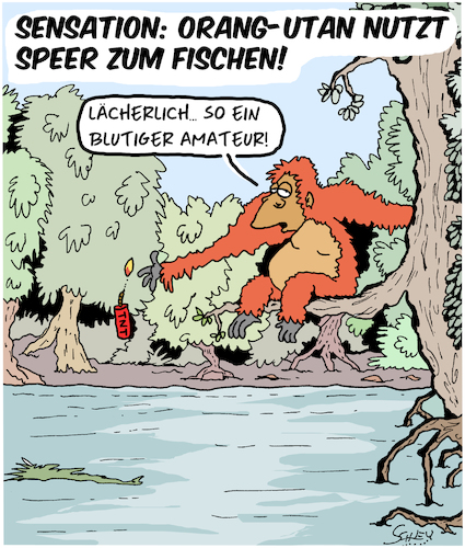 Orang-Utan benutzt Speer!! Orang-Utan benutzt Speer!!
