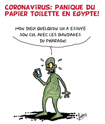 panique du papier toilette panique du papier toilette
