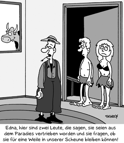 Paradies Paradies