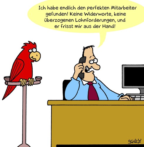 Perfekter Mitarbeiter Perfekter Mitarbeiter
