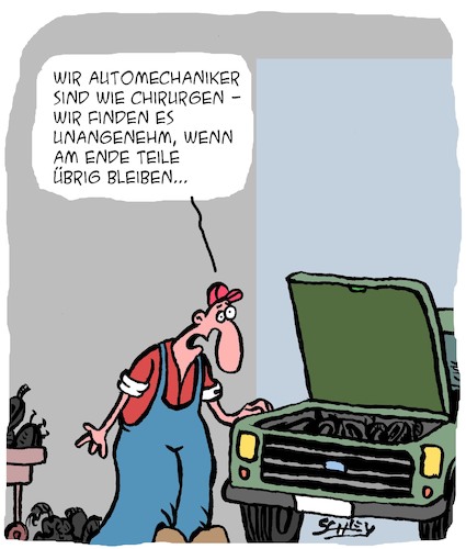Profis am Werk Profis am Werk