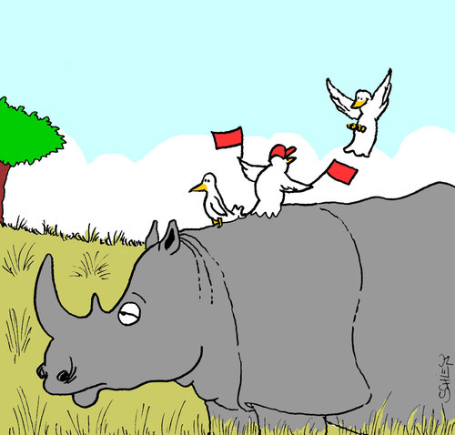 Cartoon: Rhino (medium) by Karsten Schley tagged nature,animals,birds,africa,plants,tiere,afrika,rhinozeros