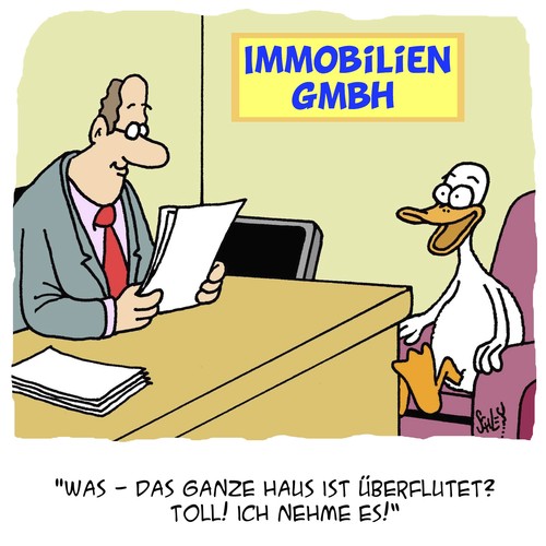 Cartoon: Schöner wohnen (medium) by Karsten Schley tagged immobilien,vermieter,wohnen,makler,verkäufer,business,wirtschaft,natur,enten,tiere,immobilien,vermieter,wohnen,makler,verkäufer,business,wirtschaft,natur,enten,tiere