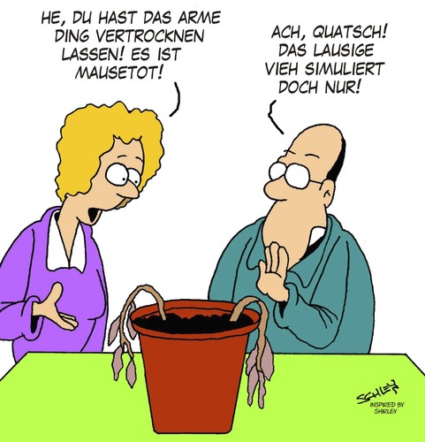 Simulanten-Pflanze Simulanten-Pflanze