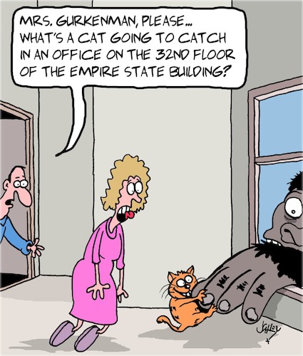 The Cats Catch The Cats Catch
