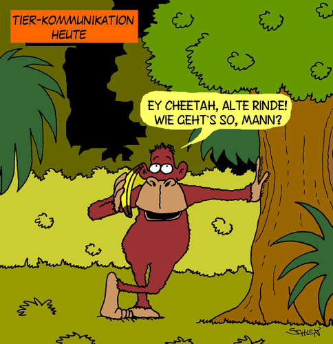 Tier-Kommunikation Tier-Kommunikation
